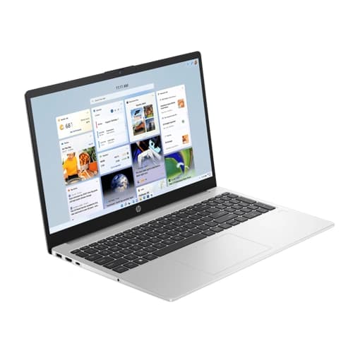 HP 255 G10 B15J0PT Laptop (AMD Ryzen 5 -7520U/Silver)